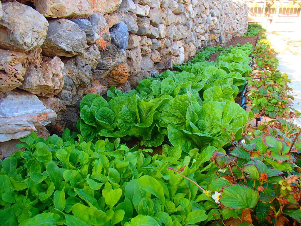Pavlosx2 Folégandros Exterior foto